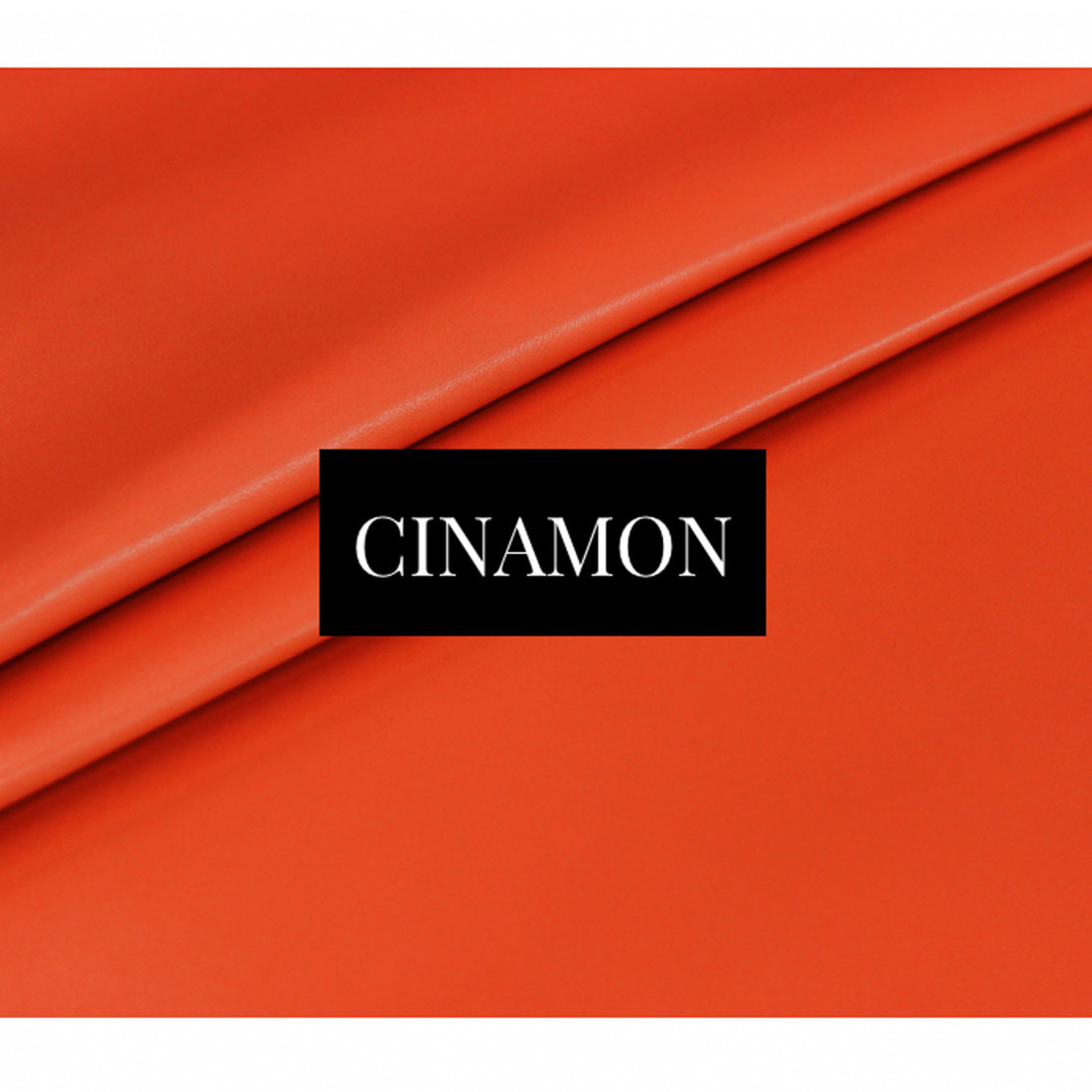 Madame Dynamite Dynamite Cinamon thumbnail 6